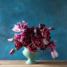 Flower Bulbs