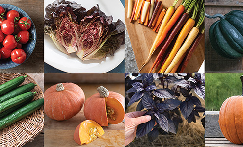 New-for-2023 • Vegetables and Herbs Webinar
