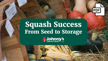 Squash Success Webinar Slide Deck PDF