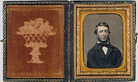Thoreau's Bean Row: I came to love my rows, my beans... Thoreau's Bean Row: I came to love my rows, my beans...