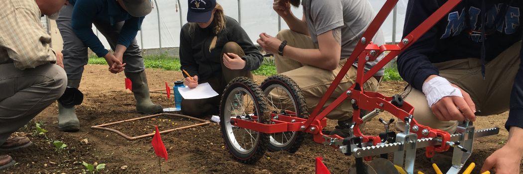 Weed management basics for growers of all abilities