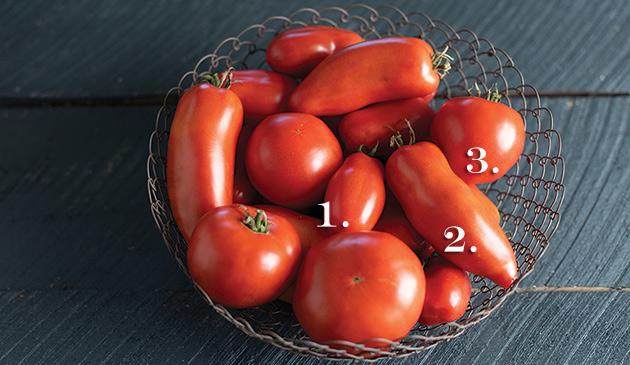 3 Improved Tomatoes from Our Open-Pollinated Project: Blue Beech, San Marzano, and Wisconsin 55 3 Improved Tomatoes from Our Open-Pollinated Project: Blue Beech, San Marzano, and Wisconsin 55