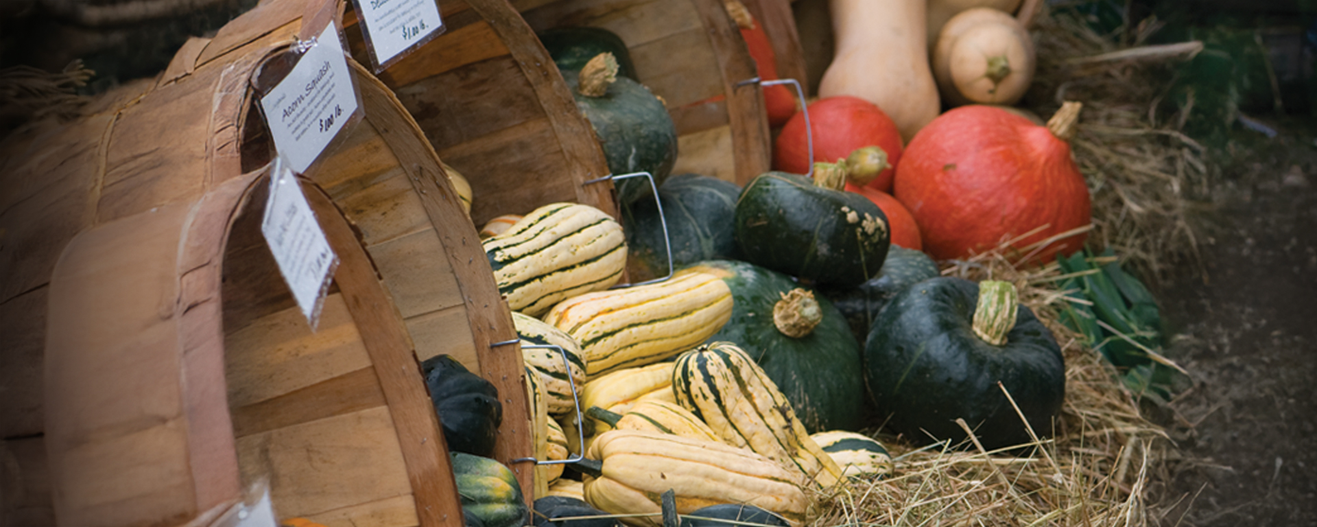 winter squash at market