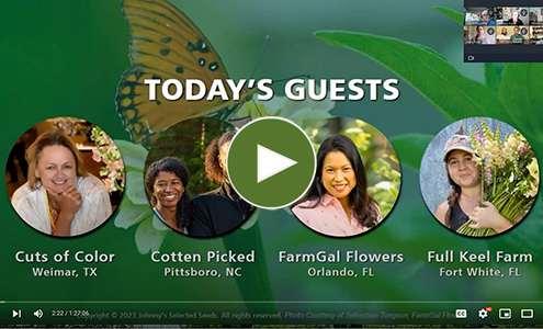 View Our Full Flower Growing in Southern States Webinar Video