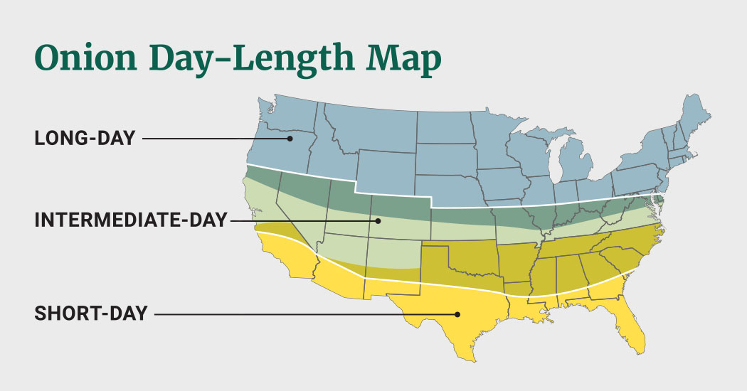 Onion day length map