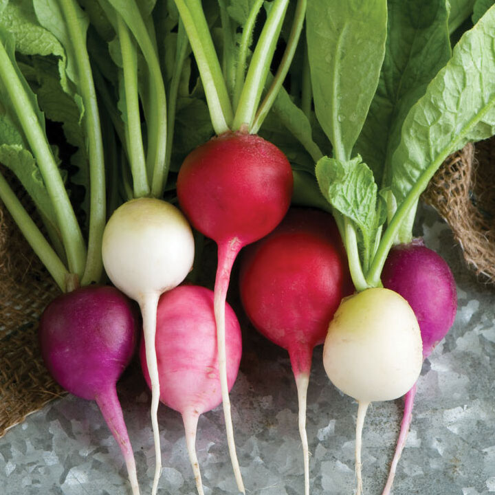 Root Crops