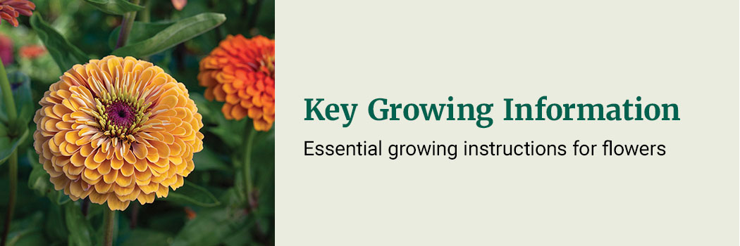 Key Growing Information: essential growing information for flower crops