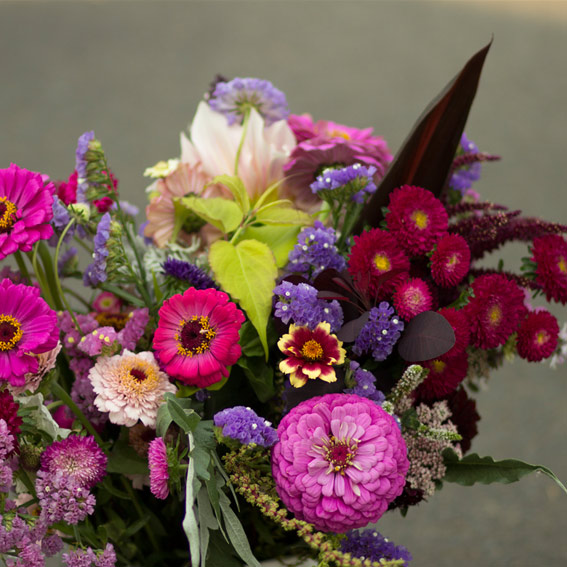 Kathleen Barber, Erika's Fresh Flowers