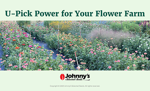 U-Pick Power for Your Flower Farm