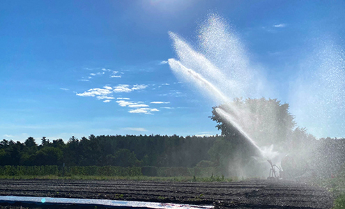 Irrigation Systems and Methods Webinar