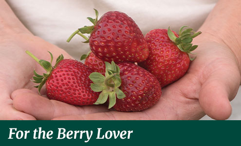 gifts for the berry lover