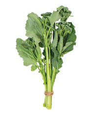 Bella Verde mini broccoli