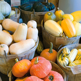 Winter Squash