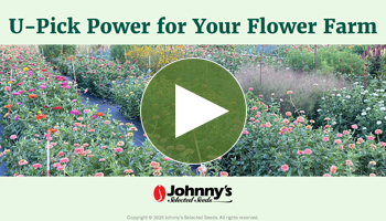 View Our Full U-Pick Webinar Video
