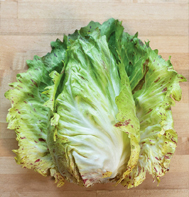 Giorgione radicchio