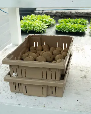 step two: put crates or boxes in warm room
