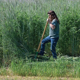 Cover Crop Supplies