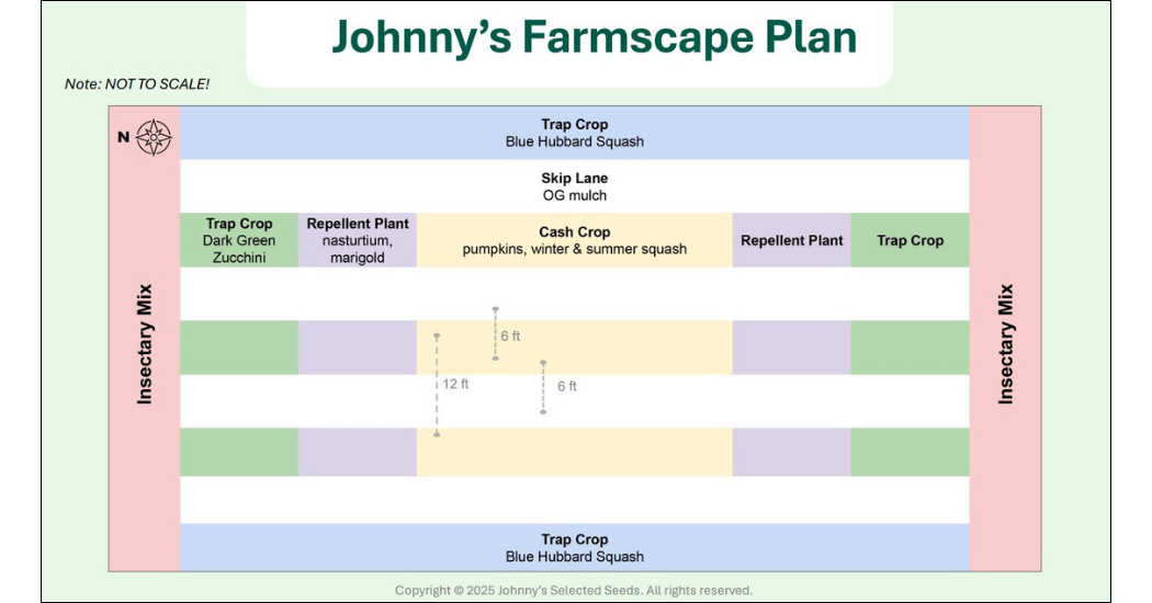 Johnny's farmscape plan