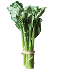Melody mini broccoli