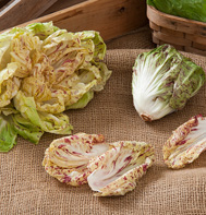 Bel Fiore radicchio