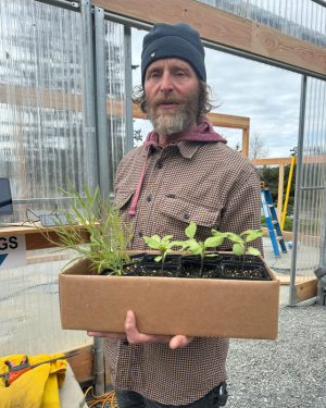 Garden to Go box of seedlings
