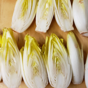 How to Grow Belgian Endive