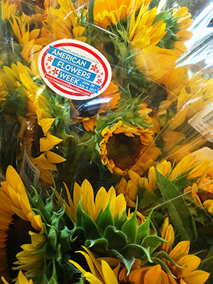 Sunflowers form the backbone of Cuts of Color' comprehensive grocery store program