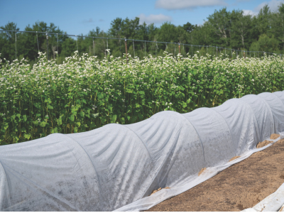 Protective Row Cover